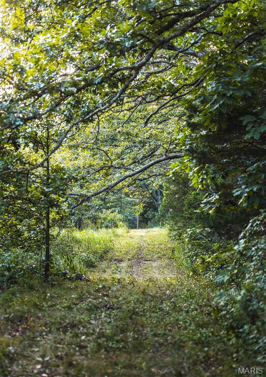 0 Mo-v Street St. James, MO 65559 - Photo 59 of 66