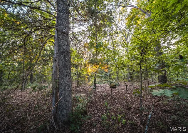 $530,127 | 0 Mo-v Street, St. James, MO 65559