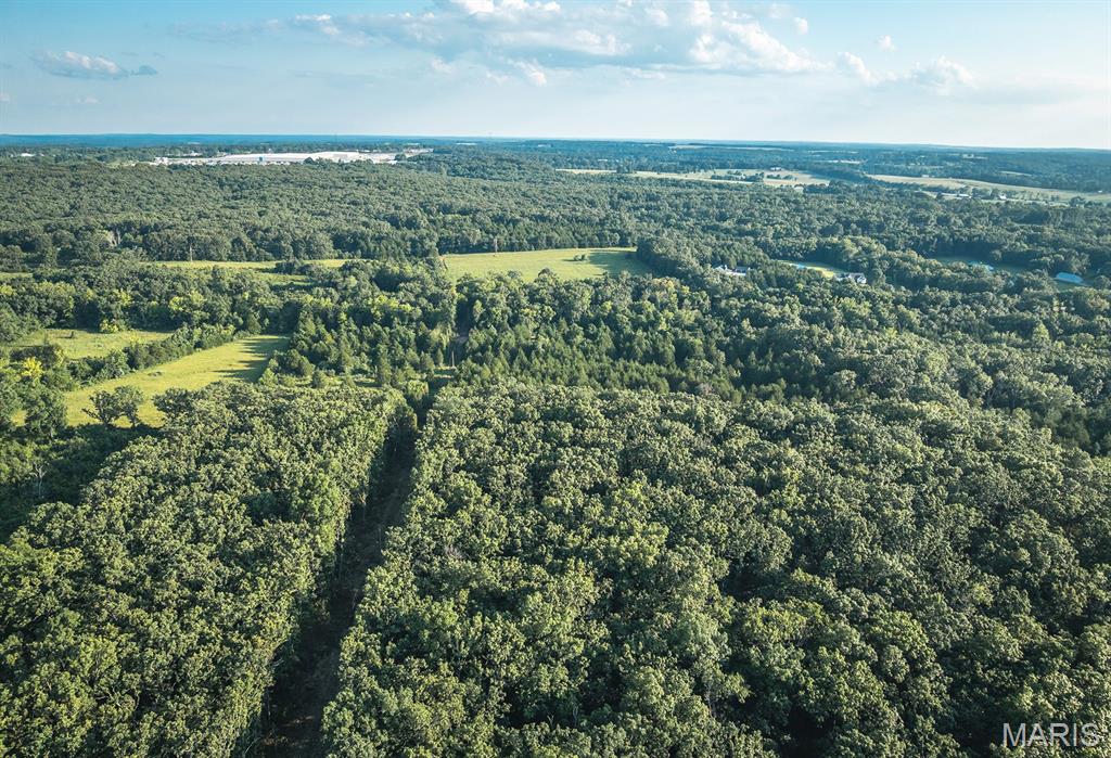 0 Mo-v Street St. James, MO 65559 - Photo 6 of 66