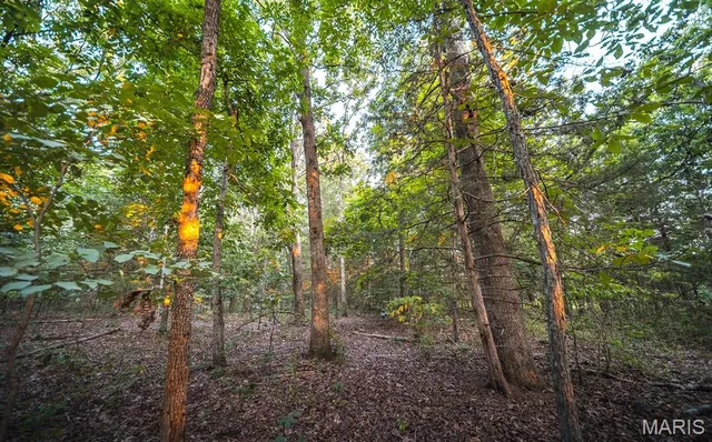 $530,127 | 0 Mo-v Street, St. James, MO 65559