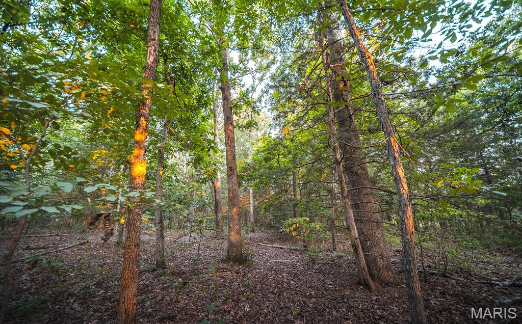 0 Mo-v Street St. James, MO 65559 - Photo 61 of 66