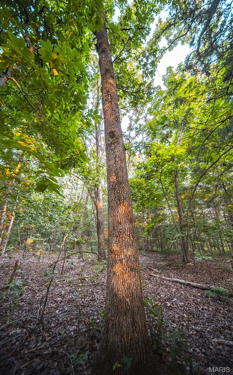 0 Mo-v Street St. James, MO 65559 - Photo 62 of 66
