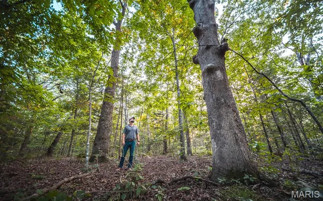 $530,127 | 0 Mo-v Street, St. James, MO 65559