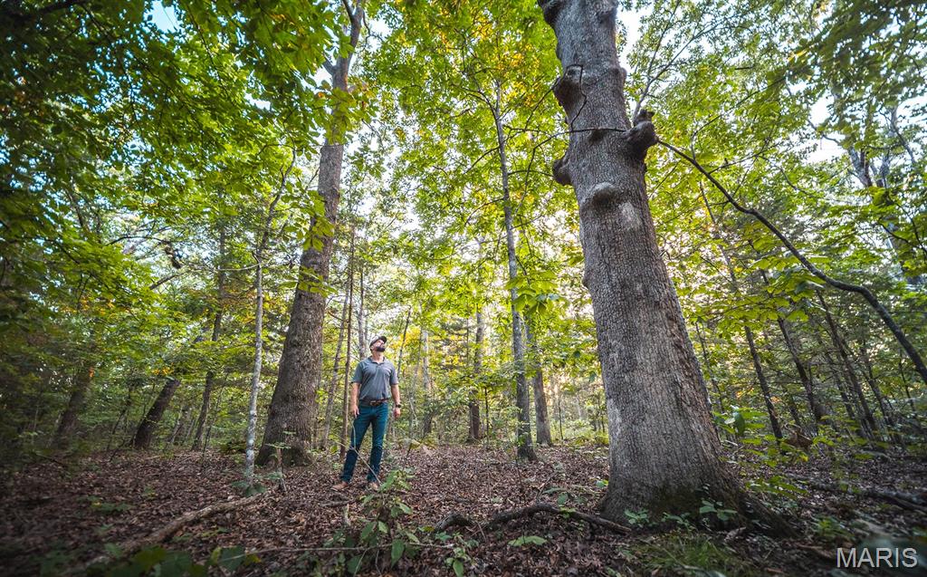 0 Mo-v Street St. James, MO 65559 - Photo 63 of 66