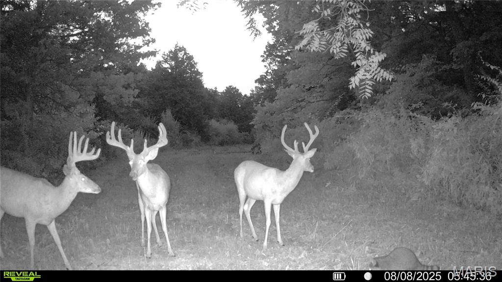 0 Mo-v Street St. James, MO 65559 - Photo 65 of 66