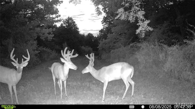 $530,127 | 0 Mo-v Street, St. James, MO 65559