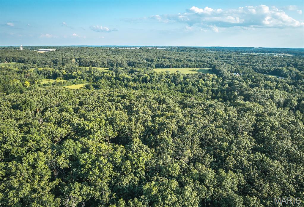 0 Mo-v Street St. James, MO 65559 - Photo 7 of 66