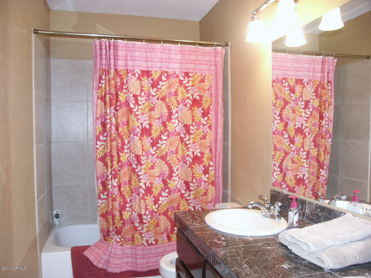 14045 East Williams Field Road Gilbert, AZ 85295 - Photo 19 of 31 Bathroom