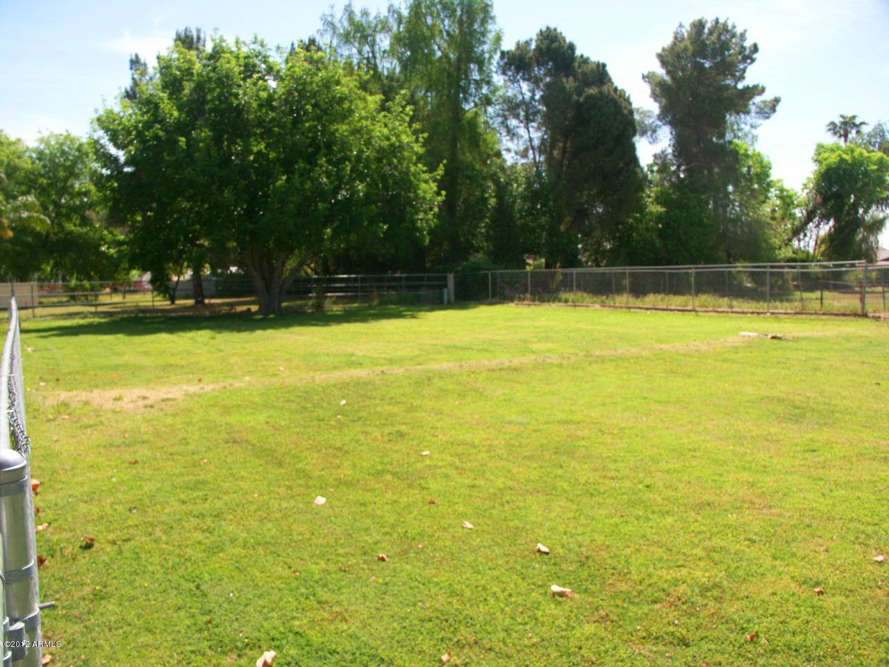 14045 East Williams Field Road Gilbert, AZ 85295 - Photo 28 of 31 yard 5