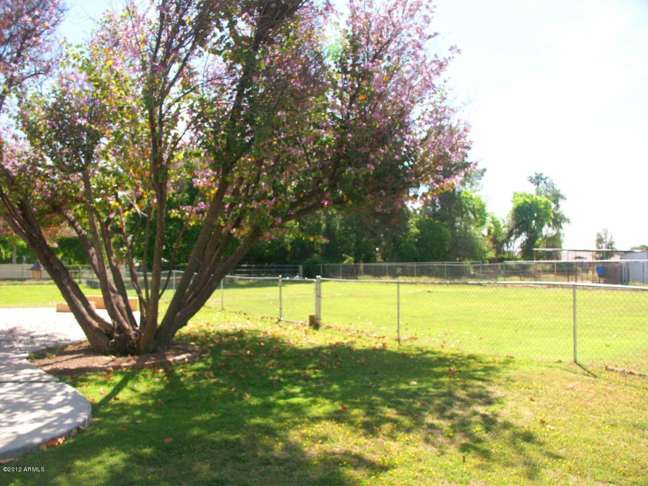 14045 East Williams Field Road Gilbert, AZ 85295 - Photo 29 of 31 yard