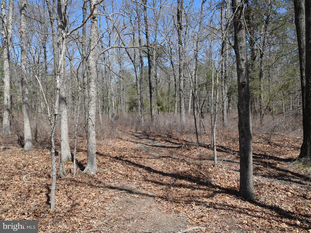 351 Shaws Mill Road Cedarville, NJ 08311 - Photo 80 of 84