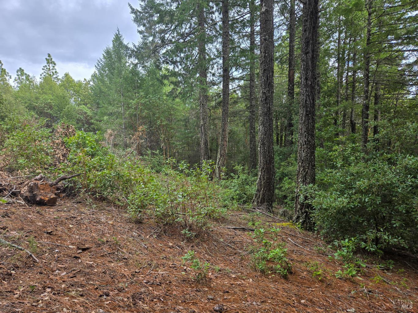 36341 Covelo Road Willits, CA 95490 - Photo 23 of 25