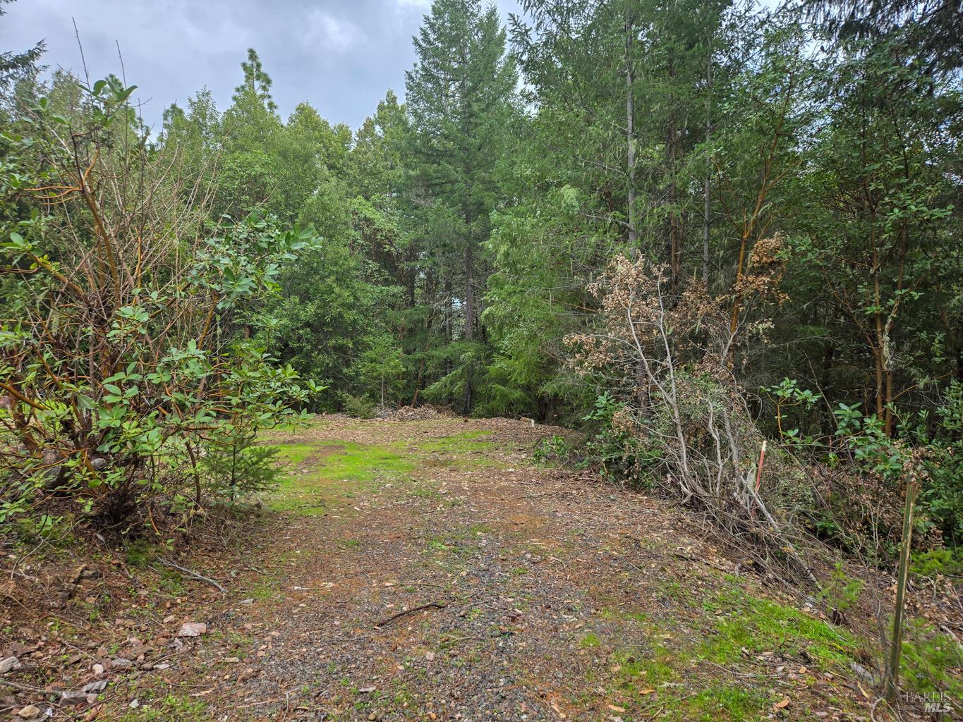 36341 Covelo Road Willits, CA 95490 - Photo 24 of 25