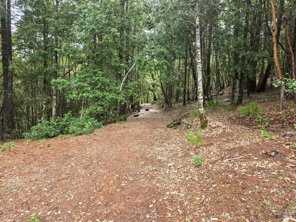 $125,000 | 36341 Covelo Road, Willits, CA 95490