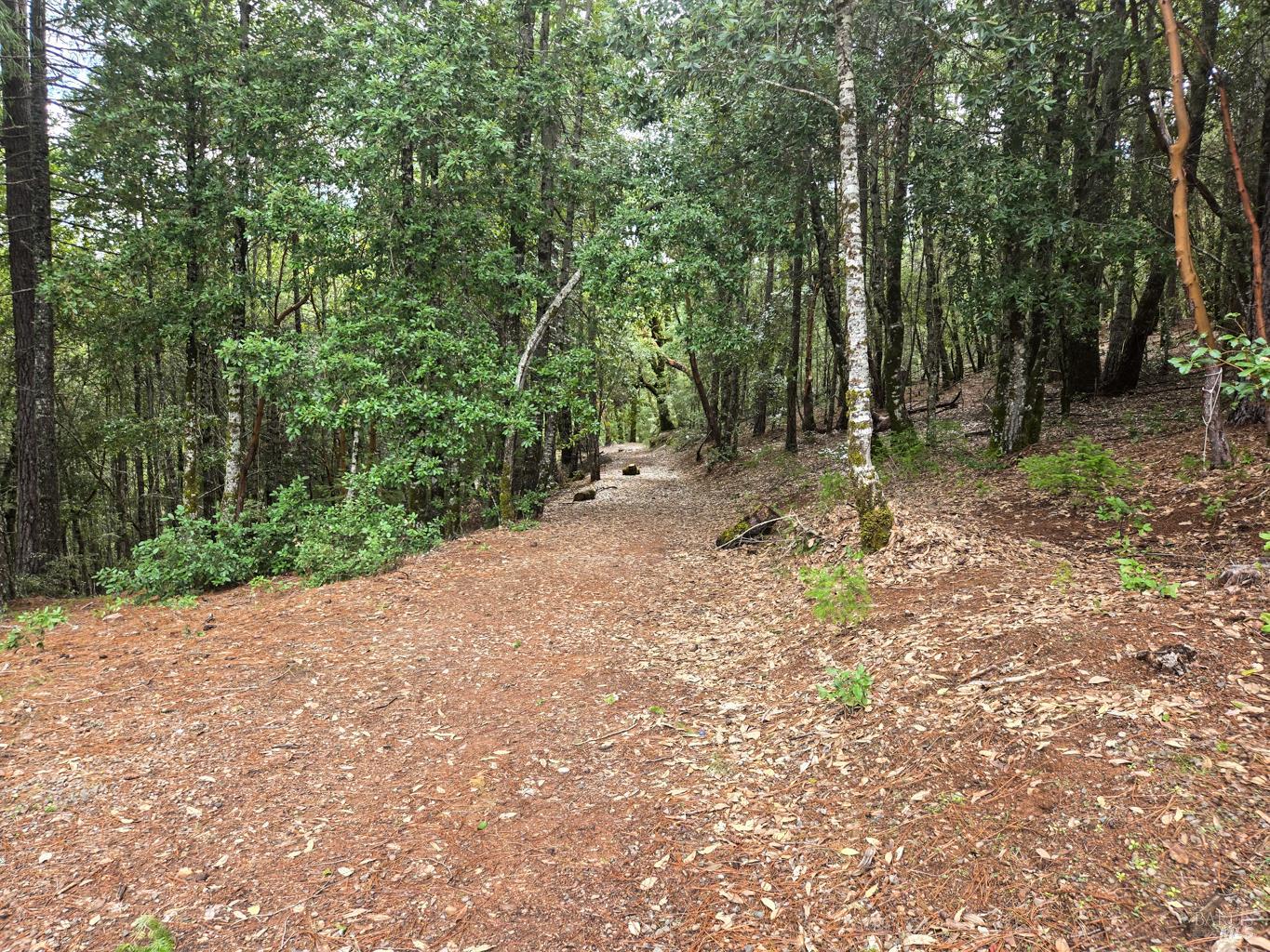 36341 Covelo Road Willits, CA 95490 - Photo 3 of 25