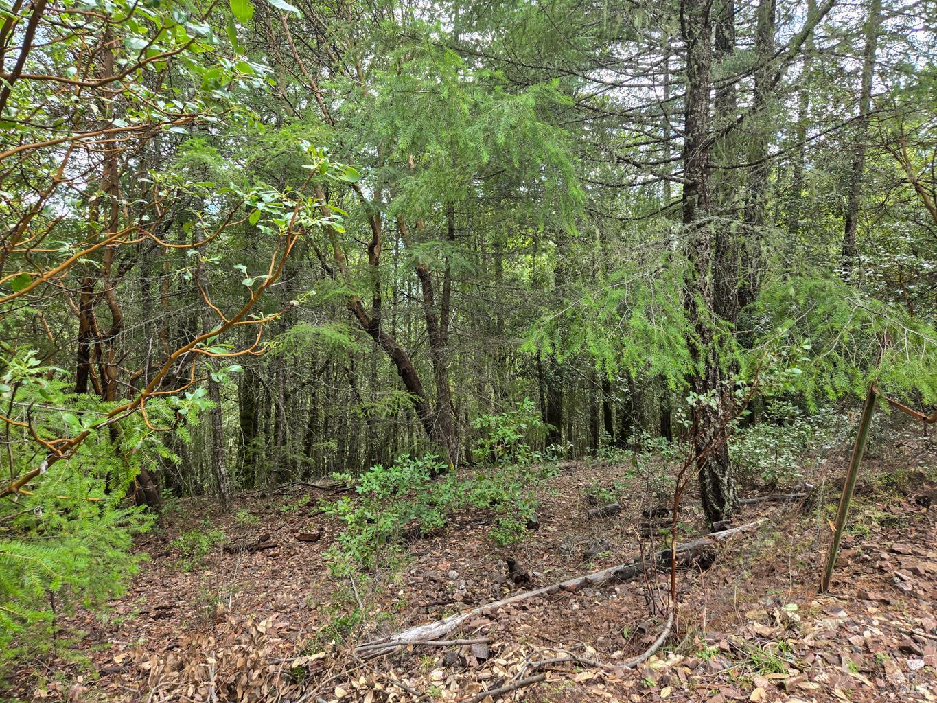 36341 Covelo Road Willits, CA 95490 - Photo 4 of 25