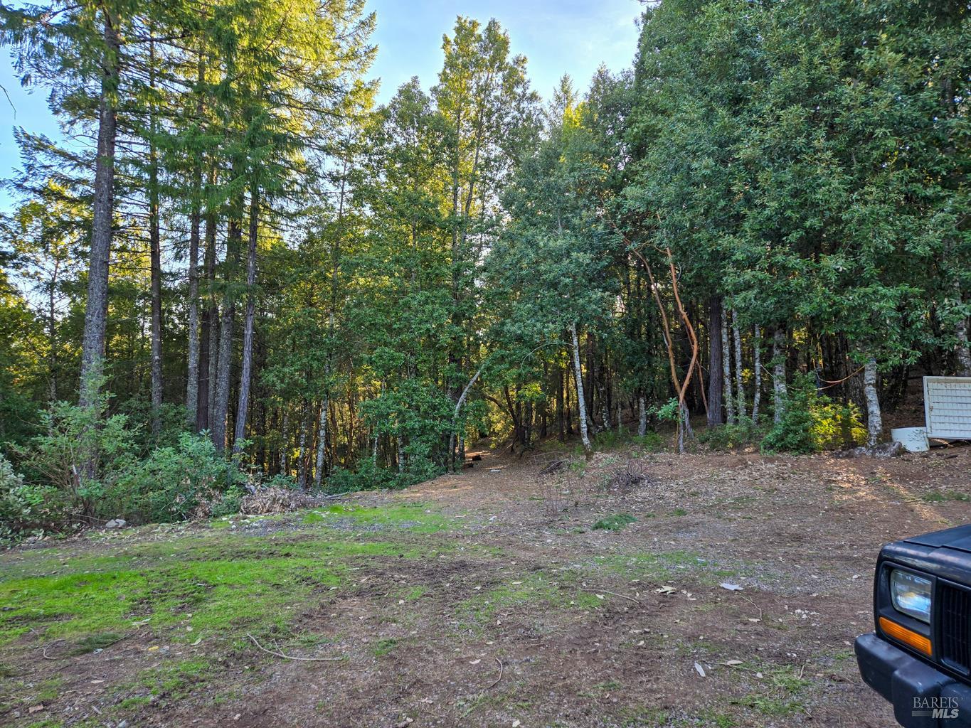 36341 Covelo Road Willits, CA 95490 - Photo 8 of 25