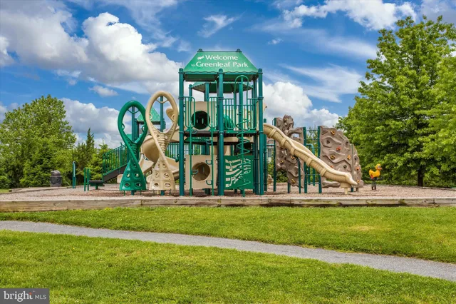 a view of a park with large trees