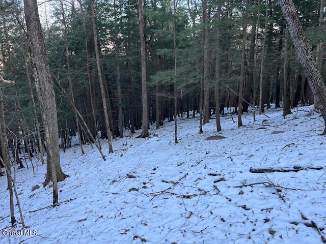 L29 Mountain Crest Road Warnerville, NY 12187 - Photo 11 of 40 IMG_5147