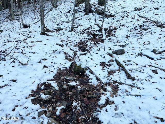 L29 Mountain Crest Road Warnerville, NY 12187 - Photo 12 of 40 IMG_5146 (1)