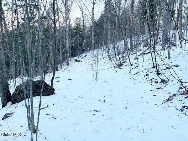 $29,900 | L29 Mountain Crest Road, Warnerville, NY 12187