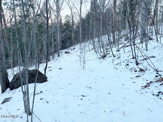 L29 Mountain Crest Road Warnerville, NY 12187 - Photo 13 of 40 IMG_5145 (1)