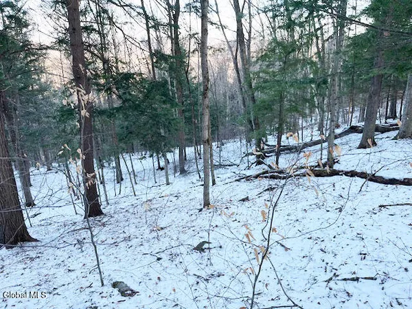 $29,900 | L29 Mountain Crest Road, Warnerville, NY 12187