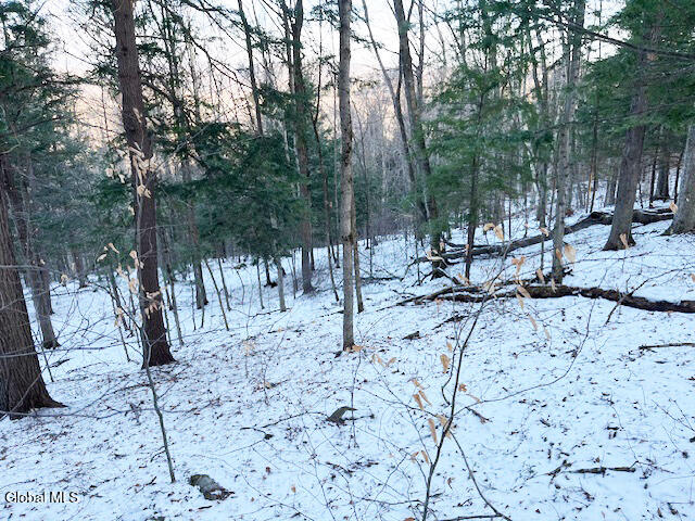 L29 Mountain Crest Road Warnerville, NY 12187 - Photo 14 of 40 IMG_5144 (1)