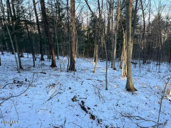 $29,900 | L29 Mountain Crest Road, Warnerville, NY 12187