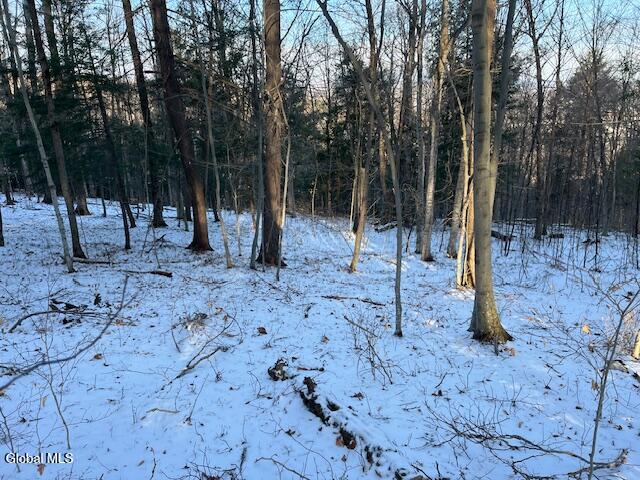 L29 Mountain Crest Road Warnerville, NY 12187 - Photo 15 of 40 IMG_5143