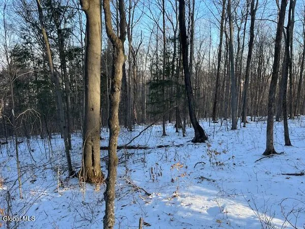 $29,900 | L29 Mountain Crest Road, Warnerville, NY 12187