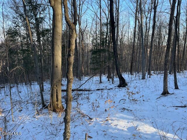 L29 Mountain Crest Road Warnerville, NY 12187 - Photo 16 of 40 IMG_5142 (1)