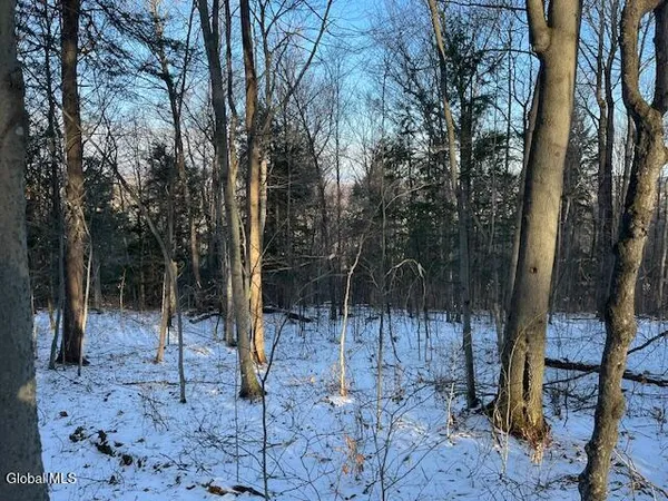 $29,900 | L29 Mountain Crest Road, Warnerville, NY 12187