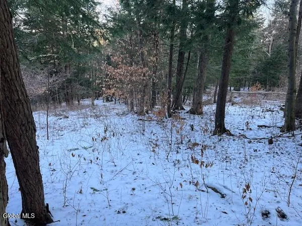 $29,900 | L29 Mountain Crest Road, Warnerville, NY 12187