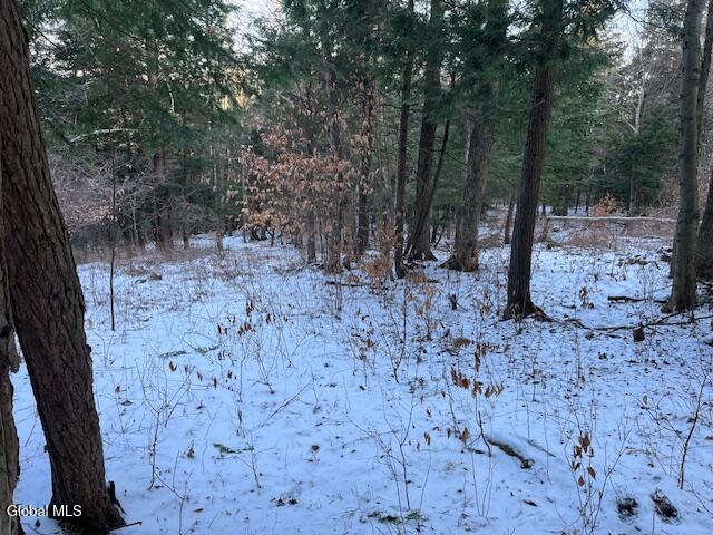 L29 Mountain Crest Road Warnerville, NY 12187 - Photo 18 of 40 IMG_5140