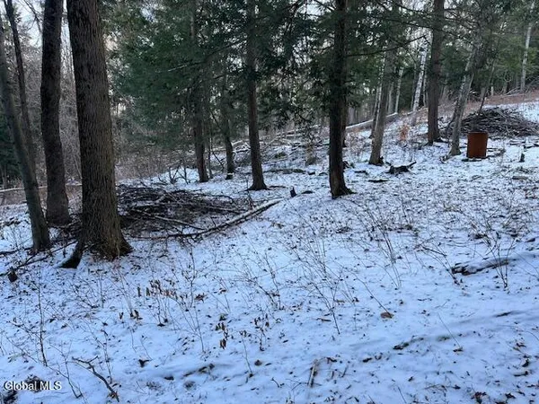 $29,900 | L29 Mountain Crest Road, Warnerville, NY 12187