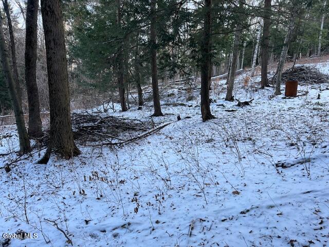 L29 Mountain Crest Road Warnerville, NY 12187 - Photo 19 of 40 IMG_5139