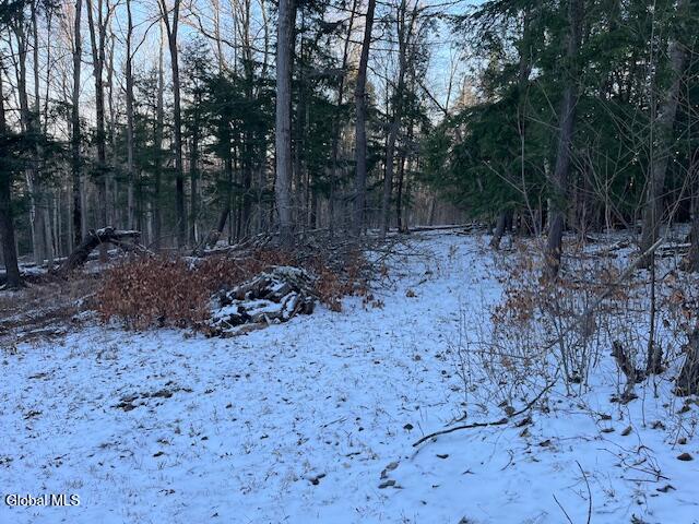 L29 Mountain Crest Road Warnerville, NY 12187 - Photo 20 of 40 IMG_5138