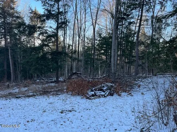 $29,900 | L29 Mountain Crest Road, Warnerville, NY 12187