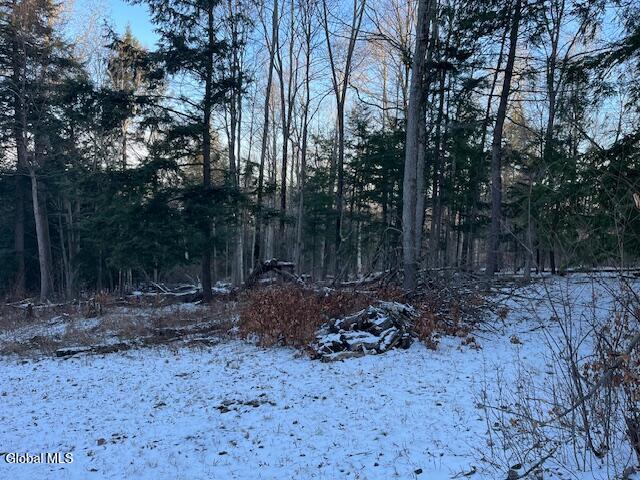 L29 Mountain Crest Road Warnerville, NY 12187 - Photo 21 of 40 IMG_5137