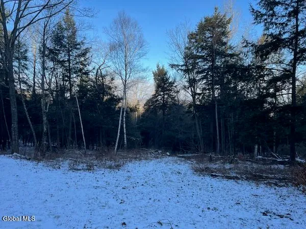 $29,900 | L29 Mountain Crest Road, Warnerville, NY 12187