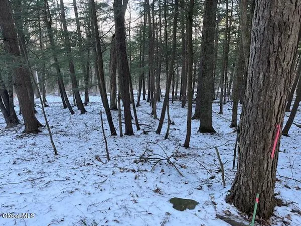 $29,900 | L29 Mountain Crest Road, Warnerville, NY 12187