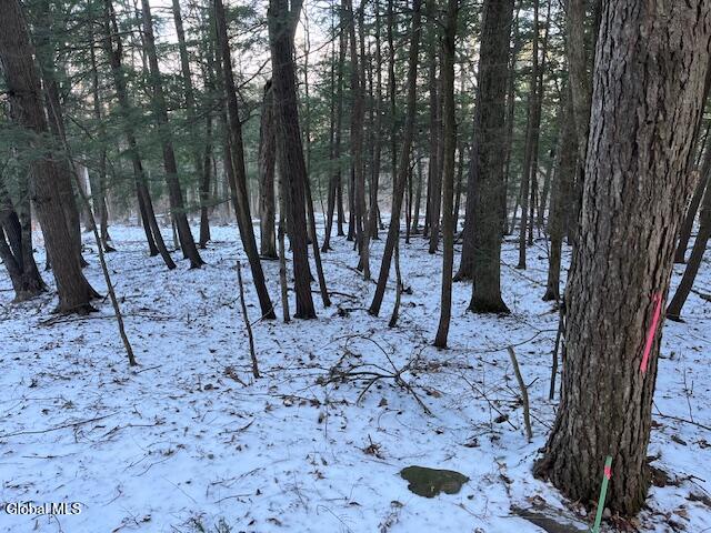 L29 Mountain Crest Road Warnerville, NY 12187 - Photo 23 of 40 IMG_5134