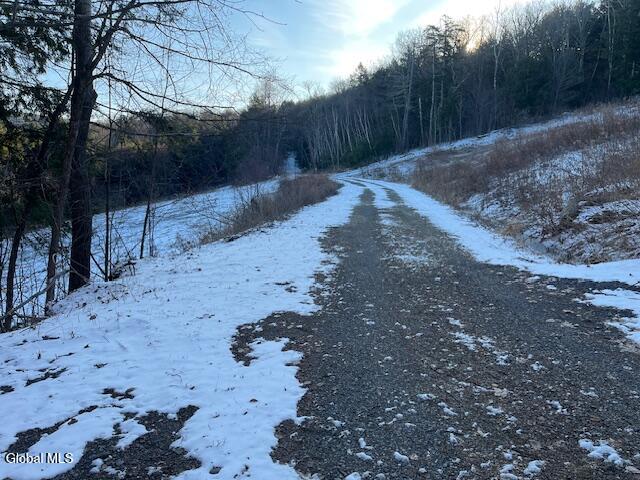 L29 Mountain Crest Road Warnerville, NY 12187 - Photo 24 of 40 IMG_5133