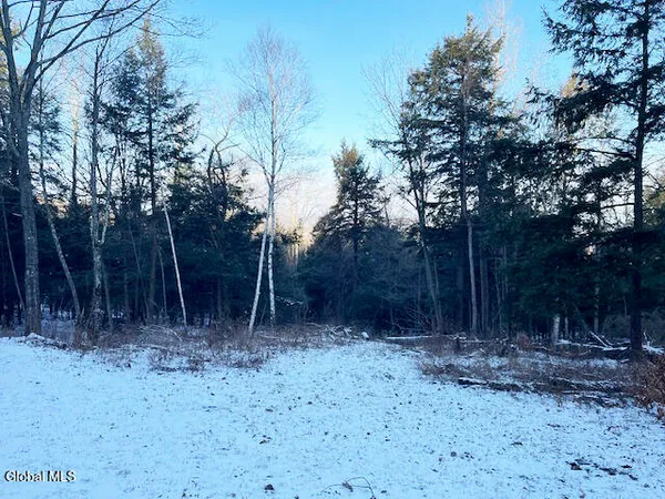 $29,900 | L29 Mountain Crest Road, Warnerville, NY 12187