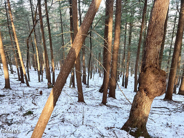 L29 Mountain Crest Road Warnerville, NY 12187 - Photo 26 of 40 IMG_5148 (1)