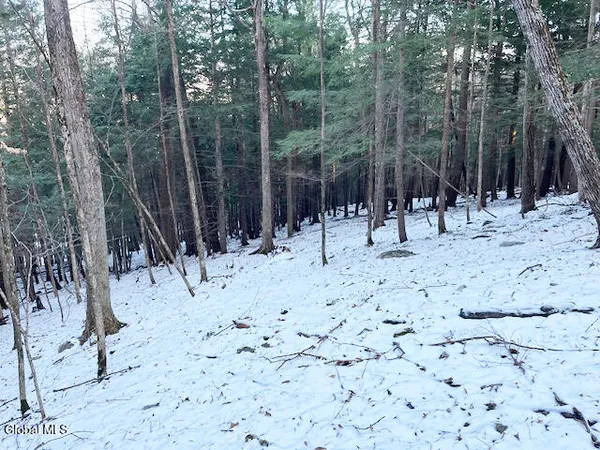 $29,900 | L29 Mountain Crest Road, Warnerville, NY 12187