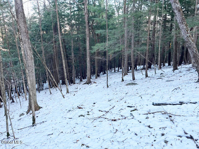 L29 Mountain Crest Road Warnerville, NY 12187 - Photo 27 of 40 IMG_5147 (1)