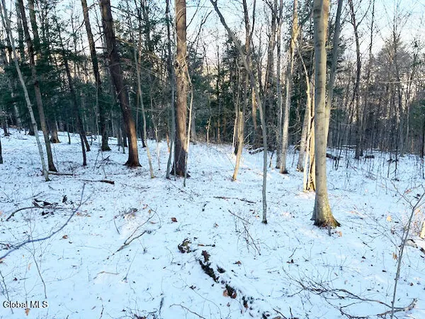 $29,900 | L29 Mountain Crest Road, Warnerville, NY 12187