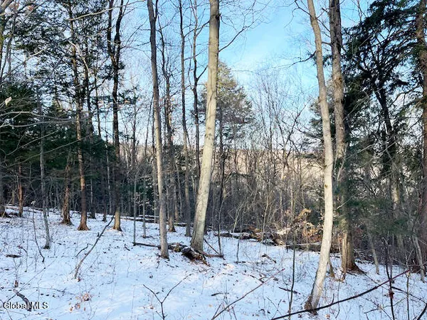 $29,900 | L29 Mountain Crest Road, Warnerville, NY 12187